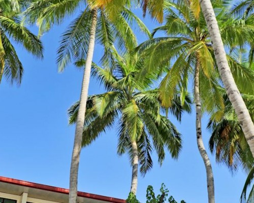 Sun Tan Beach Hotel 3* — Маафуши, Мальдивы