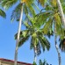 Sun Tan Beach Hotel 3* — Маафуши, Мальдивы