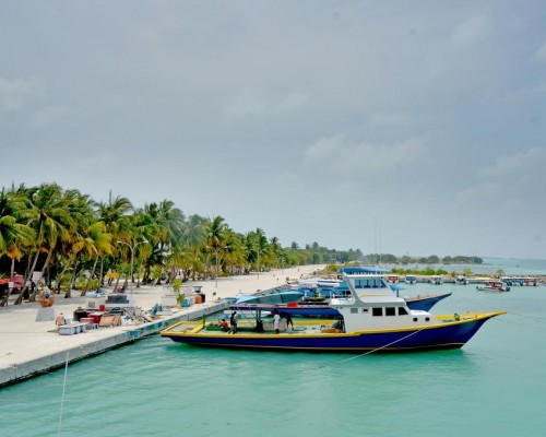 Lily Rest Maldives 3* на Маафуши: что реально есть в отеле