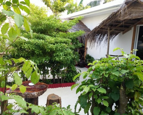 Отель Maafushi View 3* на Маафуши: что важно знать