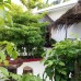 Отель Maafushi View 3* на Маафуши: что важно знать
