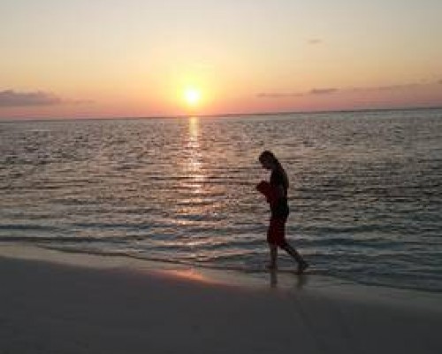 Отель Maafushi View 3* на Маафуши: что важно знать
