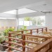Kuredhi Beach Inn 3* — Маафуши, Мальдивы