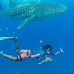 Handhuvaru Villa Boutique Hotel 3* — Южный Мале, Маафуши