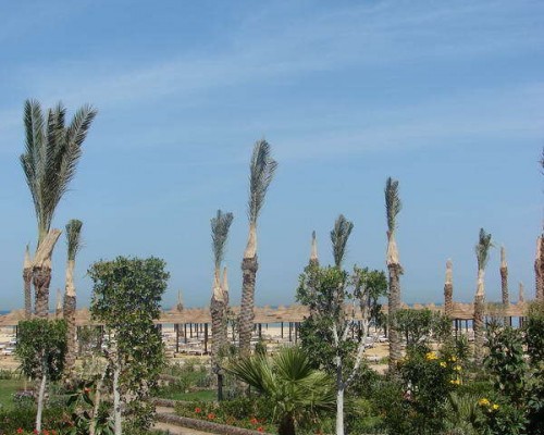 Festival Le Jardin Resort 5* — Хургада
