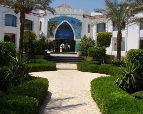 Falcon Inn Viva 3* — Шарм-эль-Шейх, Египет