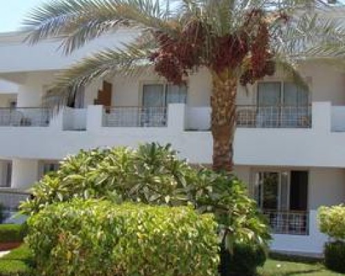 Falcon Inn Viva 3* — Шарм-эль-Шейх, Египет
