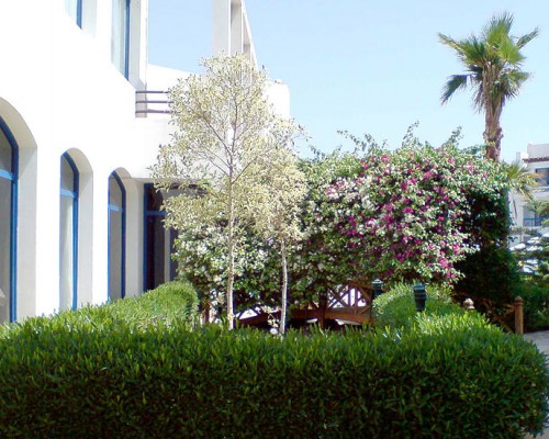 La Perla Better Life Resort 3* в Шарм-эль-Шейхе