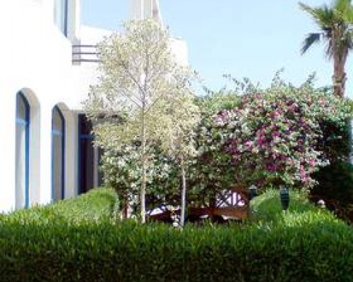 La Perla Better Life Resort 3* в Шарм-эль-Шейхе