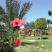 Sapphire Suites Golden Five 4* — Хургада
