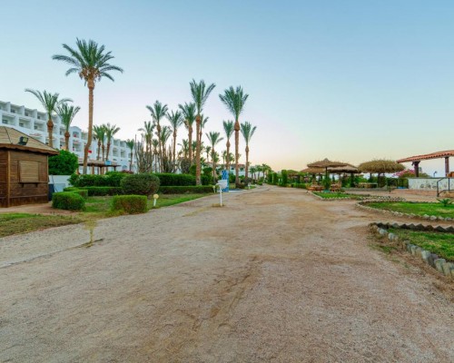 Siva Sharm Resort & Spa 4* — Шарм-эль-Шейх