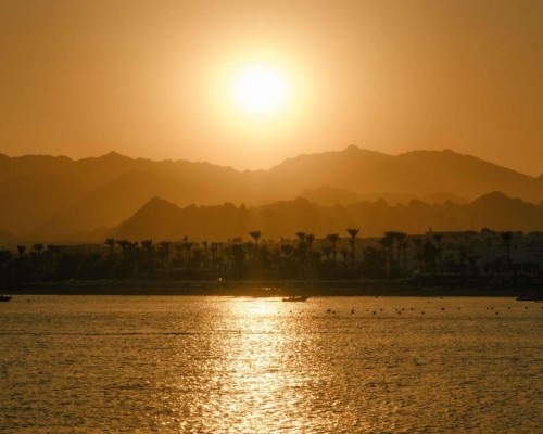 Movenpick Resort Sharm El Sheikh Naama Bay 5* — честный обзор отеля