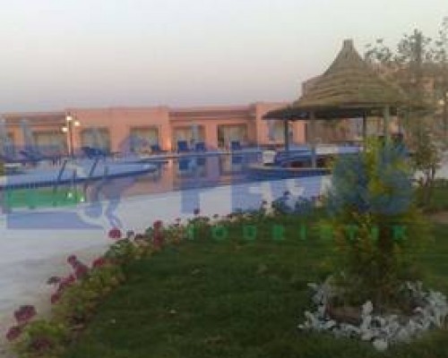 Sol Y Mar Dolphin House 4* — Марса Алам, Египет