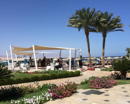 Barcelo Tiran Sharm 4* — отель в Шарм-эль-Шейхе