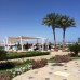 Barcelo Tiran Sharm 4* — отель в Шарм-эль-Шейхе