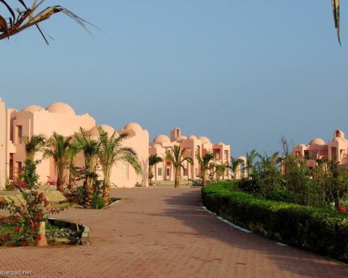 Zabargad Diving Resort 4* в Марса Алам