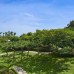 Sanya Marriott Yalong Bay Resort & Spa 5* на Хайнане