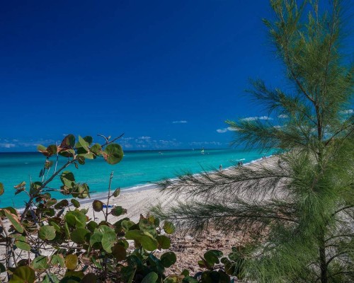 Sirenis Tropical Varadero 4* — Варадеро, Куба