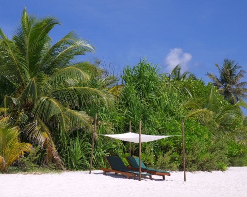 Coco Palm Dhuni Kolhu 5* — Баа Атолл, Мальдивы
