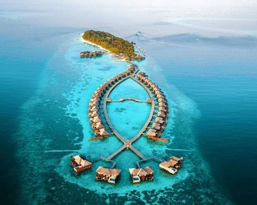 Lily Beach Resort & Spa, Ари Атолл: честный обзор
