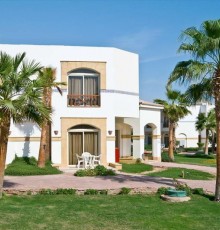 Amphoras Blu 4*