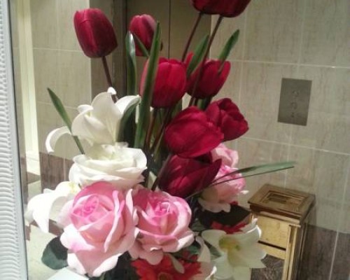 Al Shams Plaza Apt 3*