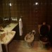 International Rotana Inn 3* — Абу-Даби, ОАЭ