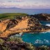 The Westin Roco Ki Beach and Golf Resort 5* — Пунта Кана