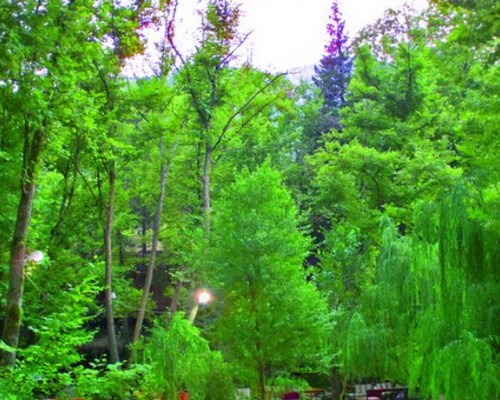 Elfida Hotel 3* в Чамьюве: честный разбор отеля