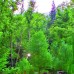 Elfida Hotel 3* в Чамьюве: честный разбор отеля