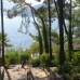 Marmaris Park 5* в Мармарисе: честный разбор от турагента Галины