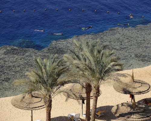 Reef Oasis Beach Holiday Club 5* в Шарм-эль-Шейхе