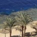 Reef Oasis Beach Holiday Club 5* в Шарм-эль-Шейхе