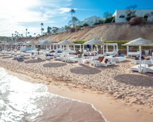 Oasis & Aquamamarine Hotels 5* в Шарм-эль-Шейхе: что важно знать до брони
