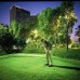 Hyatt Regency Dubai & Gelleria 5*