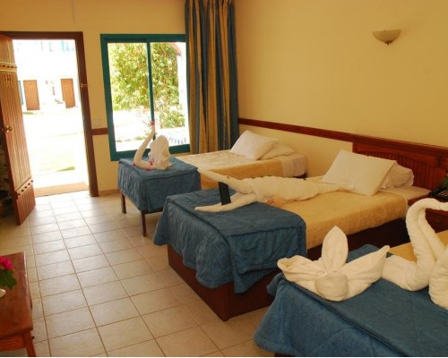 Ocean Club Hotel 3* в Шарм-эль-Шейхе: что важно знать