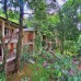 Ancarine Beach Resort 3* на Фукуоке: что важно знать перед бронированием