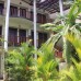 Tropicana Guesthouse в Унаватуне: что важно знать перед бронированием