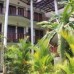 Tropicana Guesthouse в Унаватуне: что важно знать перед бронированием