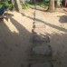 Dephani Beach Hotel 2* — Негомбо, Шри-Ланка