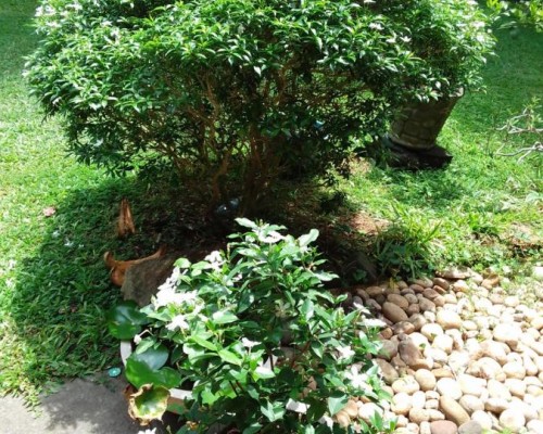 Serenity Villa Hikkaduwa — вилла в Хиккадуве