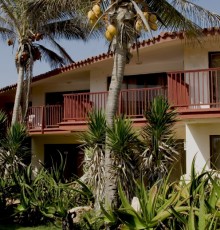 Oasis 3*