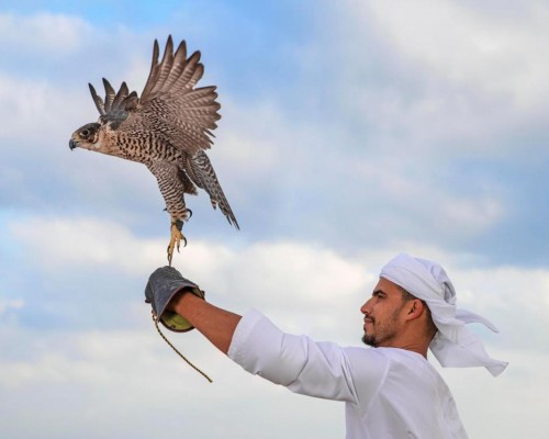 Anantara Sir Bani Yas Island Al Sahel Villa Resort, Абу-Даби