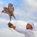 Anantara Sir Bani Yas Island Al Sahel Villa Resort, Абу-Даби