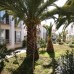 Sun Club Bodrum 4*: пляжный отдых на первой линии в Бодруме
