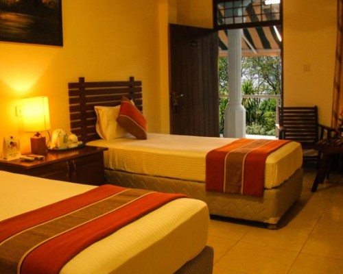 Romano Hotel 2* — Негомбо, Шри-Ланка