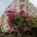 Buddha Ramoza 3* — пляжный отель в Хургаде