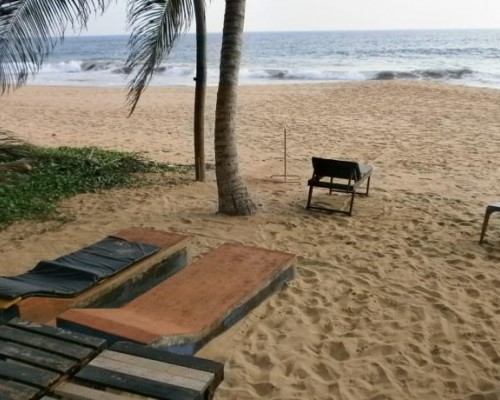 Tamaro Beach Resort 2* — Хиккадува, Шри-Ланка
