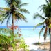 Velaa Beach Hotel 3* — Хулхумале, Северный Мале