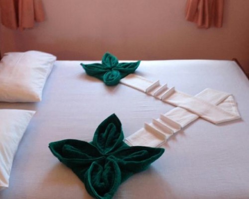 Red Rose Hotel 2* в Негомбо — что важно знать перед бронированием